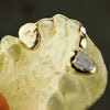 Real 10K Solid Gold Diamond Dust Two-Tone Canines Front Bar Custom Grillz