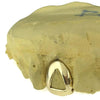Real 10K Solid Gold Open Face Single Cap Grillz (Choose Any Tooth)