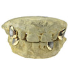 Real 14K Gold 2-Tone Diamond Dust Custom Caps Grillz w/Back Bar