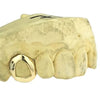 Real 14K Gold Open Face Canine Custom Tooth Cap Custom Grillz
