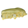 Real 14K Gold Two-Tone Diamond Dust Custom Vampire Fangs Grillz