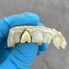 Real 14K Solid Gold Single Cap Custom Grillz (Choose Tooth)