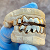 Real Solid 14K Gold Teeth Plain Custom Grillz