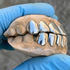 Real Solid 925 Sterling Silver Permanent Look Single Caps Custom Grillz