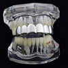 Real Solid 925 Sterling Silver Plain Top Teeth Grills