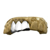 Real Solid 925 Sterling Silver Three Front Teeth Custom Grillz