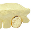 Real Solid Gold Nugget 10K Gold Single Cap Custom Grillz