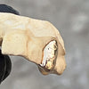 Real Solid Gold Nugget 10K Gold Single Cap Custom Grillz