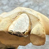 Real Solid Gold Nugget 10K Gold Single Cap Custom Grillz