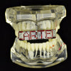 Red Letters Personalized Iced Flooded Out Teeth Custom Name Grillz