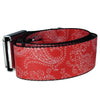 Red /White Paisley Buckle-Down Belt