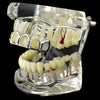 Silver 4 Open Face Top Teeth Grillz