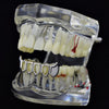 Silver Tone 4 Open Face Bottom Vampire Fang Grillz