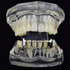 Silver Tone 4 Open Face Bottom Vampire Fang Grillz