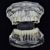 Silver Tone 6 Open Face Top Vampire Fangs Grillz