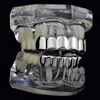 Silver Tone 6 Top and 6 Bottom Teeth Cartel Grillz Set