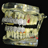 Silver Tone 8 on Eight Teeth Iced Vampire Fangs Grillz Set