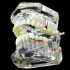 Silver Tone Bottom Single Tooth Cap