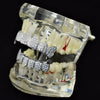 Silver Tone CZ Iced Vampire Fangs Grillz Set