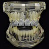 Silver Tone CZ Top Teeth Vampire Fang Grillz