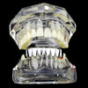 Silver Tone Eight Bottom Teeth Plain Grillz