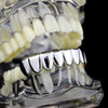 Silver Tone Eight Bottom Teeth Plain Grillz