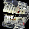 Silver Tone Eight Bottom Teeth Plain Grillz