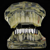 Silver Tone Eight Teeth Bottom Vampire Fangs Grillz