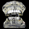 Silver Tone Eight Top and 8 Bottom Teeth Plain Grillz Set