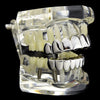 Silver Tone Eight Top and 8 Bottom Teeth Plain Grillz Set