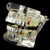 Silver Tone Eight Top and 8 Bottom Teeth Plain Grillz Set