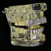 Silver Tone Micro Pave Iced Teeth Grillz Set