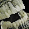 Silver Tone Plain Gap Single Tooth Grillz