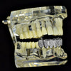 Silver Tone Premium CZ Iced Flooded Out Bottom Teeth Grillz