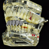 Silver Tone Premium CZ Iced Flooded Out Bottom Teeth Grillz