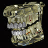 Silver Tone Premium CZ Iced Flooded Out Micro Pave Teeth Grillz Set