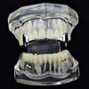 Silver Tone Slim Bar Top Half Vampire Fangs Grillz