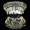 Silver Tone Teeth Plain Teeth Grillz Set