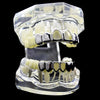 Silver Tone Two Open Face Teeth Grillz Set