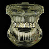 Silver Tone with Gold Diamond Cut Top Teeth Grillz