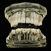 Silver Tone with w/14K Gold Plated Diamond-Cuts Bottom Teeth Grillz