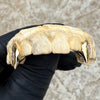 Solid 10K Gold OR 14K Gold Custom Pentagram Star Fang Grillz Vampire Single Canine Teeth Cap