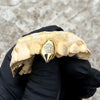Solid 10K Gold OR 14K Gold Custom Pentagram Star Fang Grillz Vampire Single Canine Teeth Cap