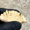 Solid 10K Gold OR 14K Gold Custom Pentagram Star Fang Grillz Vampire Single Canine Teeth Cap