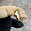 Solid 10K Gold OR 14K Gold Custom Pentagram Star Fang Grillz Vampire Single Canine Teeth Cap