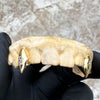 Solid 10K Gold OR 14K Gold Custom Pentagram Star Fang Grillz Vampire Single Canine Teeth Cap