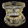 Two-Tone Premium CZ Iced Micro Pave Teeth Grillz Set