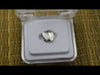 Silver Tone Bottom Single Tooth Cap