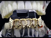 14K Gold Plated Four Open Diamond-Cut Bottom Fang Grillz