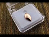 14K Rose Gold Plated Vampire Fang Top Canine Tooth Single Cap